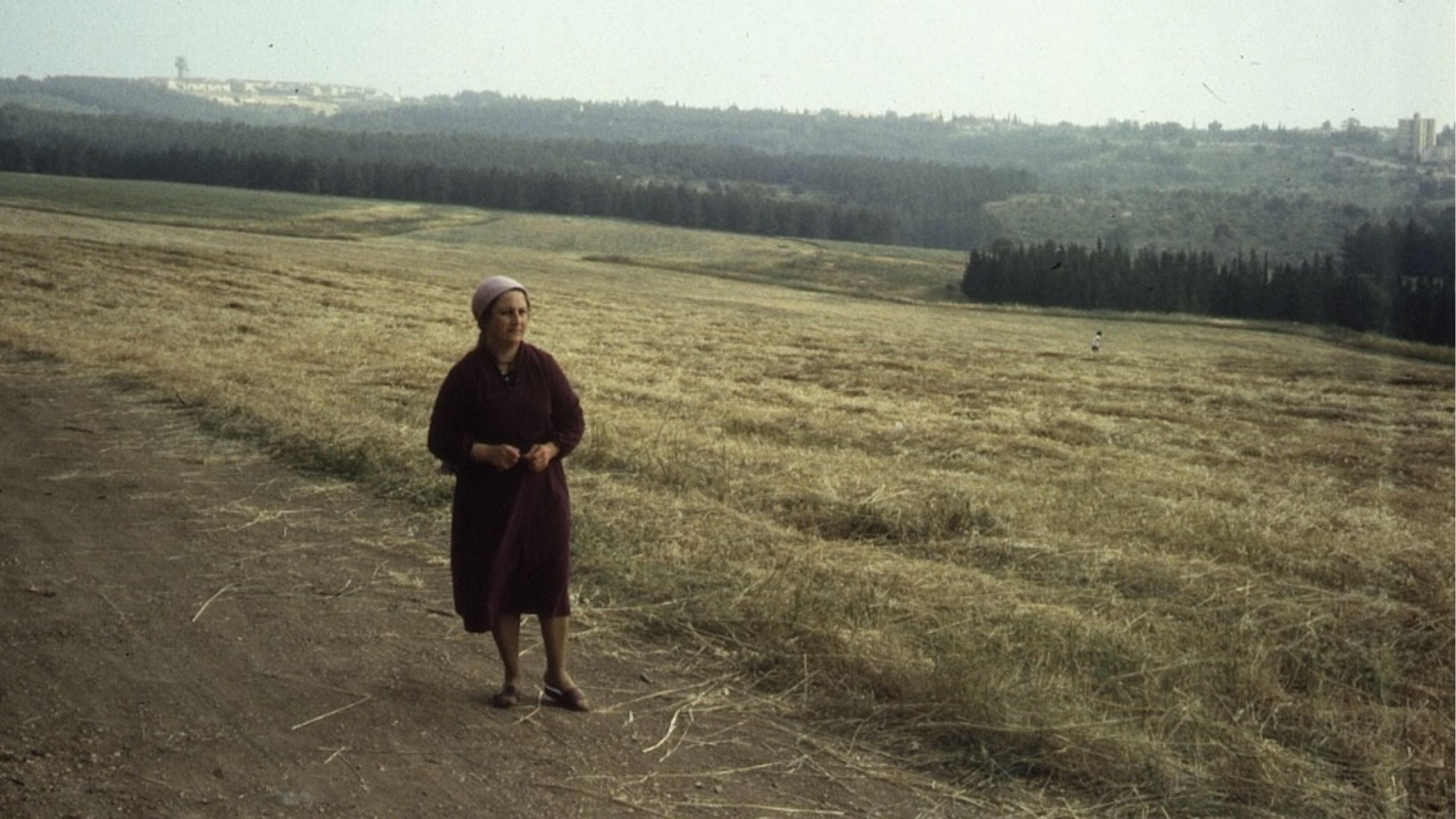 Fertile Memory（1981）