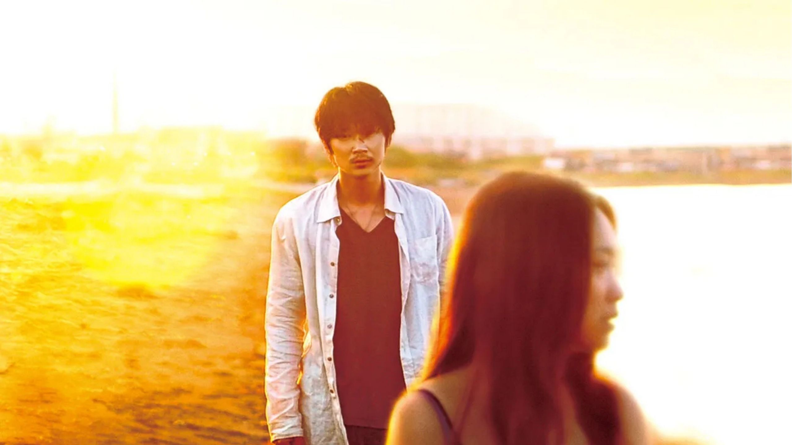 The Light Shines Only There（2014）